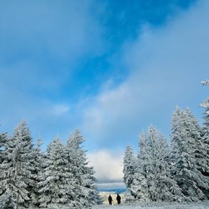 Winter STILLE