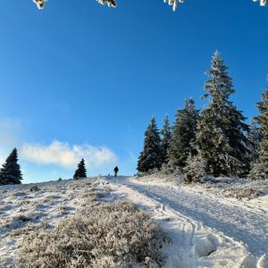 Winter STILLE