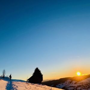 Winter STILLE